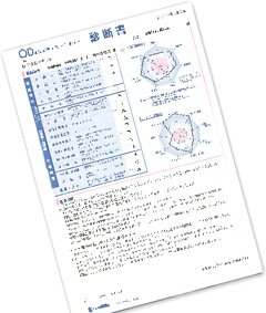 DOD式安全性テスト